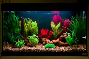 🐠 Искусственные растения в аквариуме: стильно, удобно, практично! 🐠