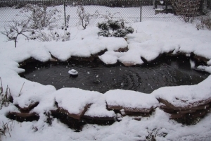 Зимой водоемы до полуметра-метра полностью вымерзают ❄️