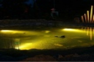 🔦Подсветка для пруда — ключ к созданию незабываемой вечерней атмосферы. Она: